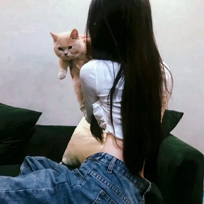 爱与黑暗的故事